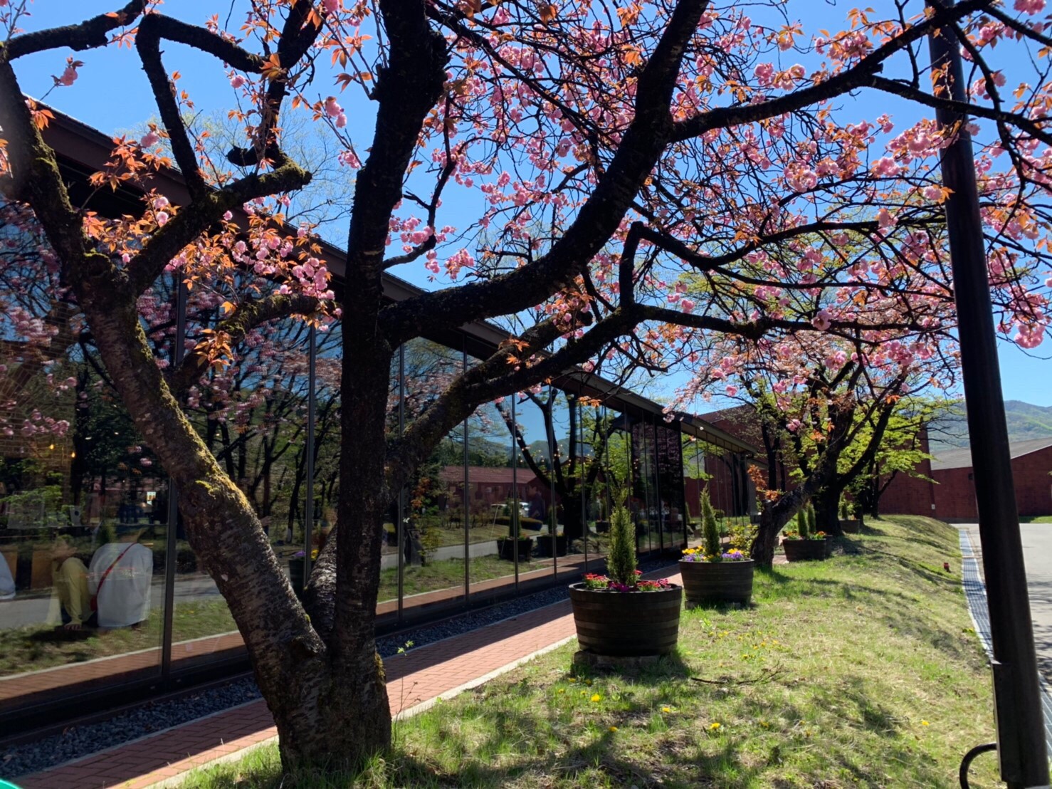 ニッカウヰスキー仙台工場宮城峡蒸溜所へ到着！